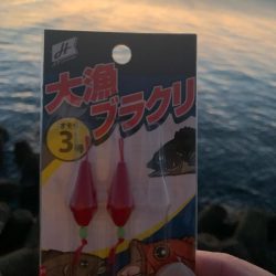 明けましておめでとうございます！