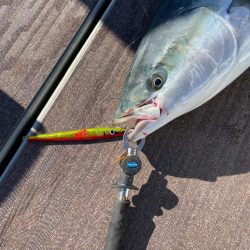 丹後沖ジギング