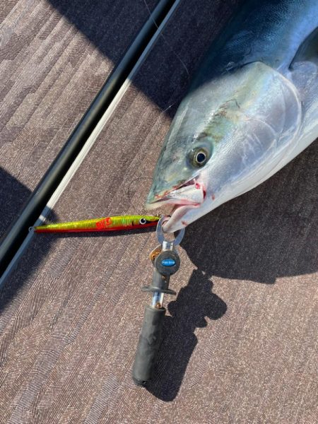 丹後沖ジギング