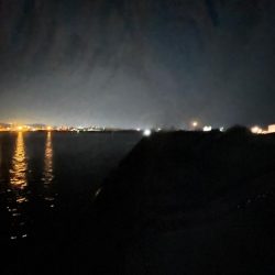 ナイトアジング