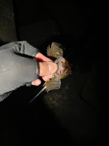 原点にして頂点