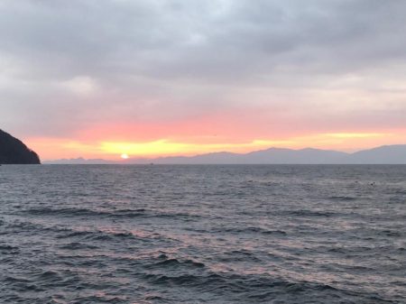 2024エギング開幕