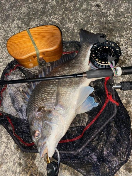 ヘチってきました