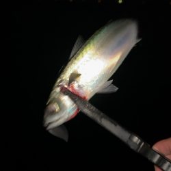 もう終わりかな?