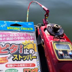 愛知県入鹿池ボート ワカサギ釣り！