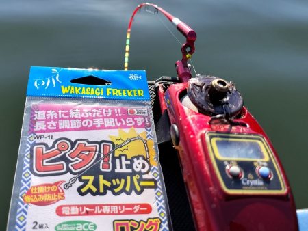 愛知県入鹿池ボート ワカサギ釣り！