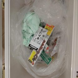 清掃活動：今年最初の船釣りウマズラリベンジ…