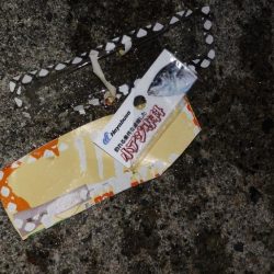 清掃活動：なんとか尺アジ