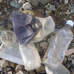 清掃活動：初ニゴイ