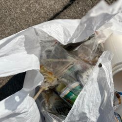 清掃活動：メバル　大アジ釣れました