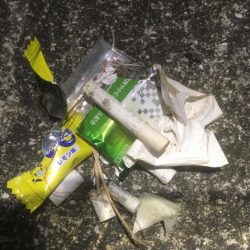 清掃活動：釣り始めはガシラから