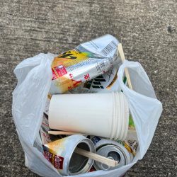 清掃活動：ガシラ好調です