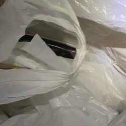 清掃活動：アジツ抜け