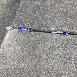 清掃活動：鯖釣り