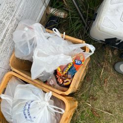 清掃活動：日置で磯釣り