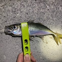 フロートアジング