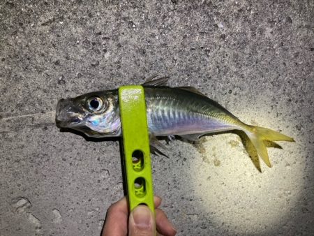 フロートアジング