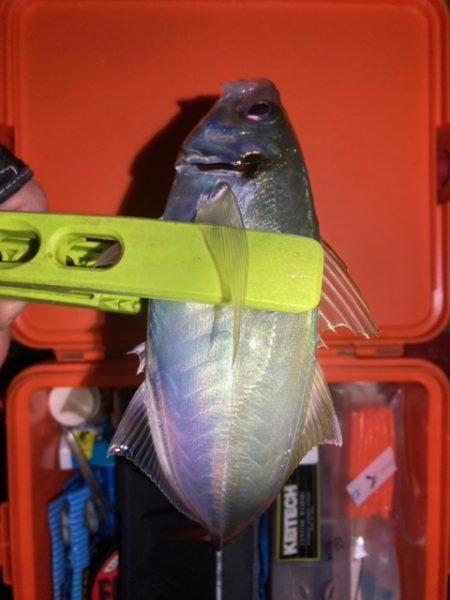 フロートゲーム