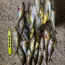 フロートゲーム