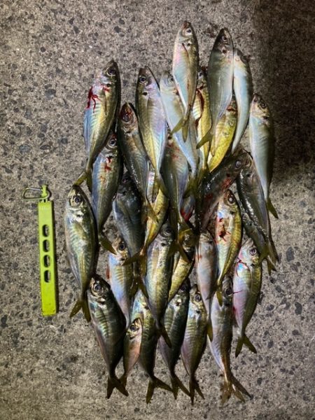 フロートゲーム