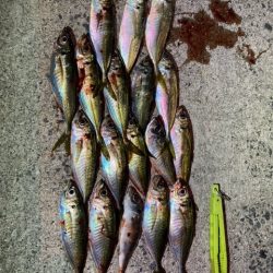 フロートアジング