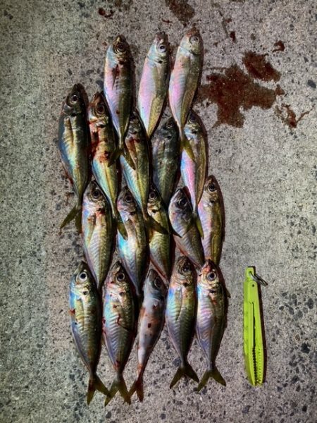 フロートアジング