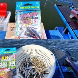 愛知県入鹿池ボート ワカサギ釣り！