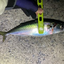 フロートアジング