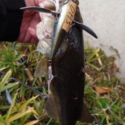 冬の水面ゲーム!