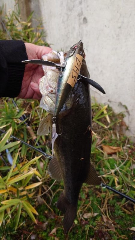 冬の水面ゲーム!