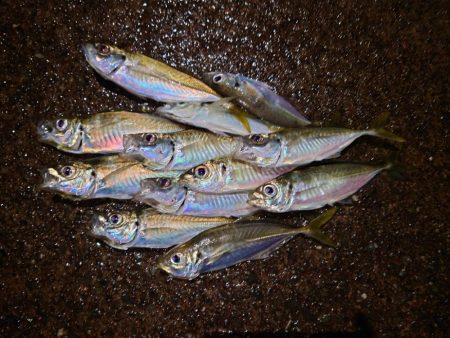 鼻水ジュルジュル罰ゲームアジング