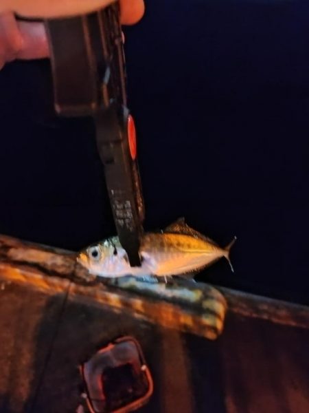 なぎさ公園リベンジ