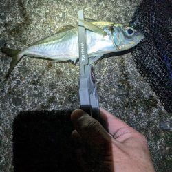 陸っぱり釣行記