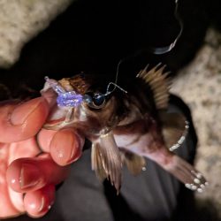 風おさまって…