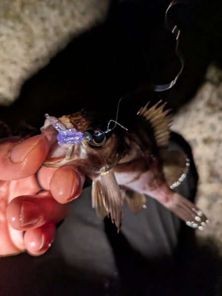 風おさまって…