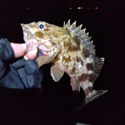 まさかここまでとは