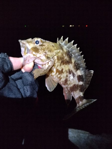 まさかここまでとは