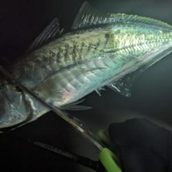 フロートアジング