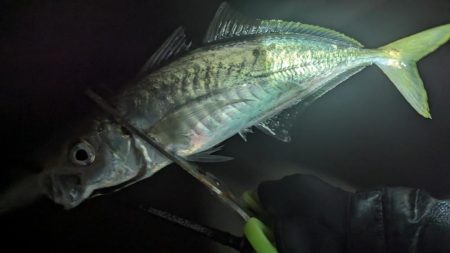 フロートアジング