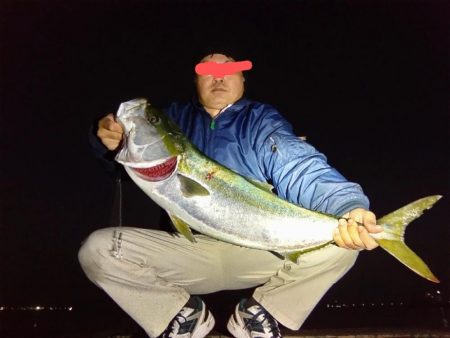 今年初の鰤！釣れました!