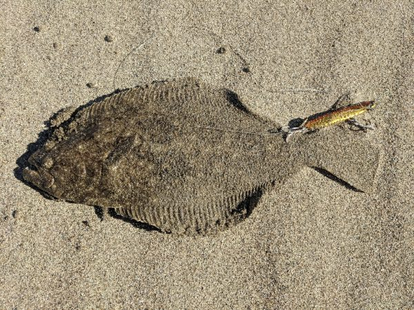 由良川河口にて