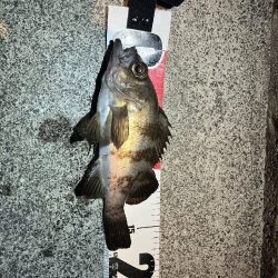 明石港東外港西防波堤灯台