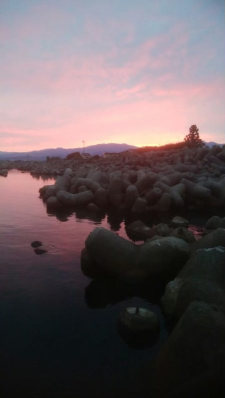 メバル（おと）