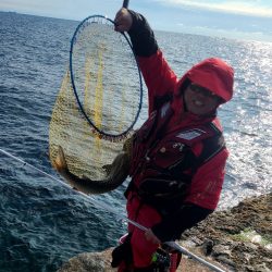 和歌山市江(吉丸渡船)でグレ釣り