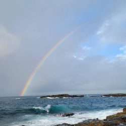 和歌山市江（吉丸渡船）でグレ釣り
