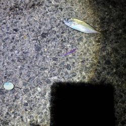 フロートアジング