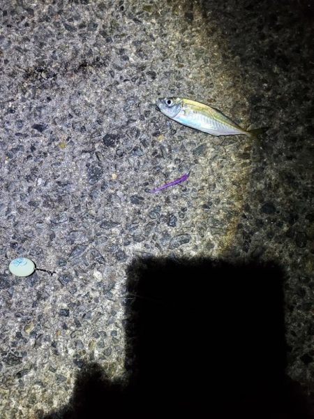 フロートアジング