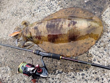 バレンタインモンスター降臨IN対馬