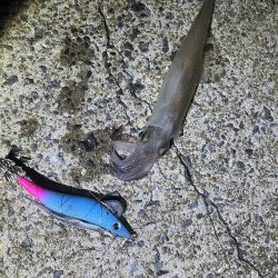 邪道エギでエギング