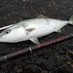 雨の合間の釣行